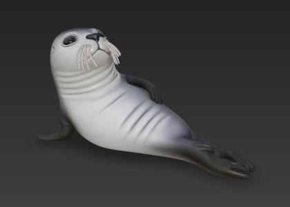 chillen seal