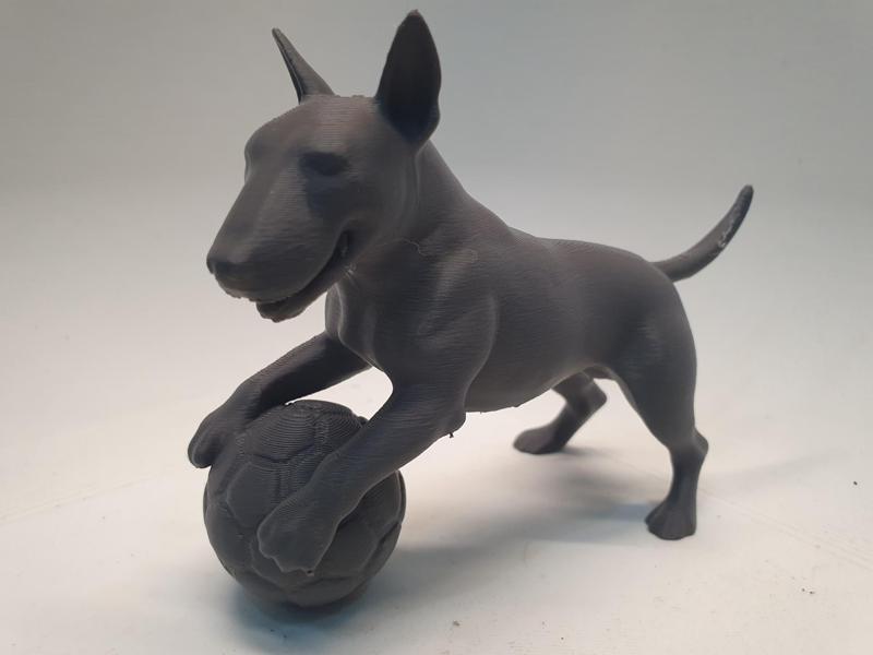 Bull Terrier playing soccer