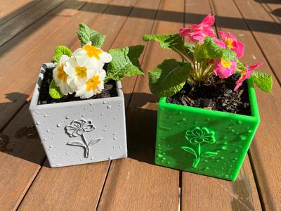 Flower Pot with drainage - 100mm