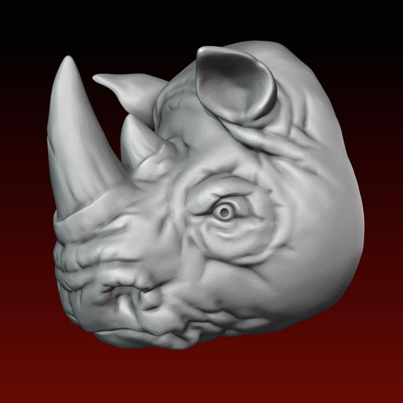 Rhino head