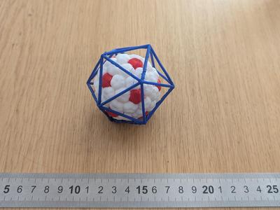 A simplified model of SV40 Capsid