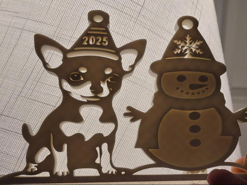 Chihuahua Celebration 2025