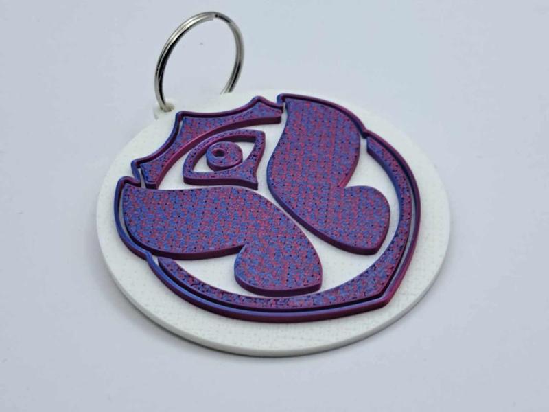 Tomorowland (festival) Keychain