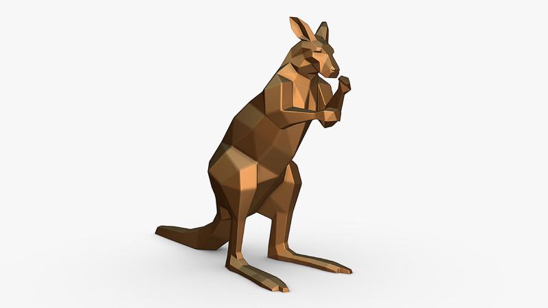 kangaroo