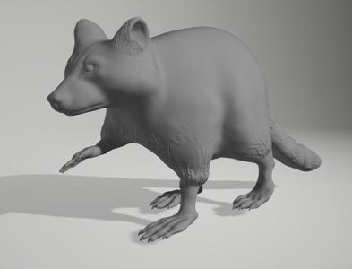 Raccoon