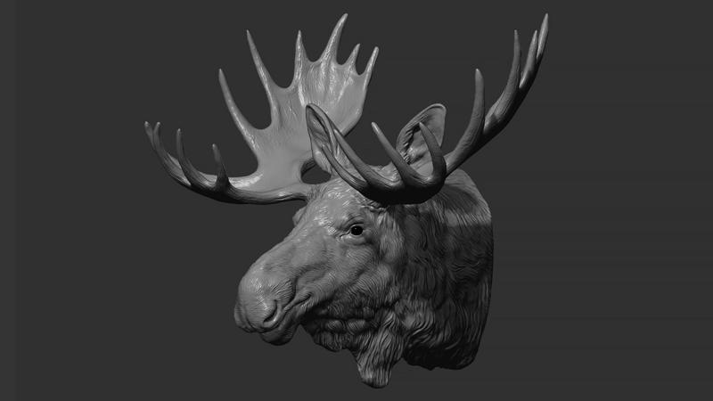 Moose Elk head
