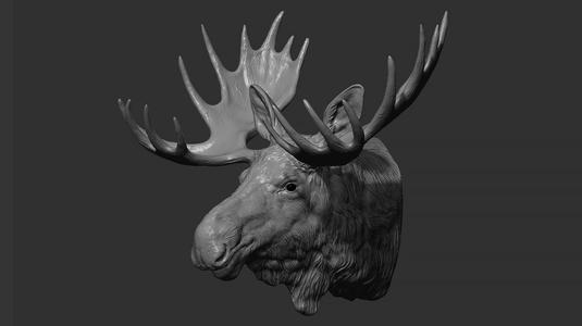 Moose Elk head
