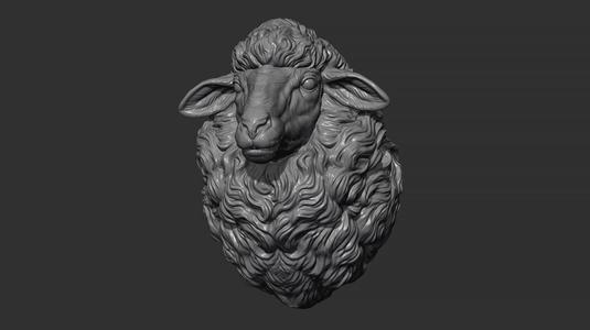 Sheep head