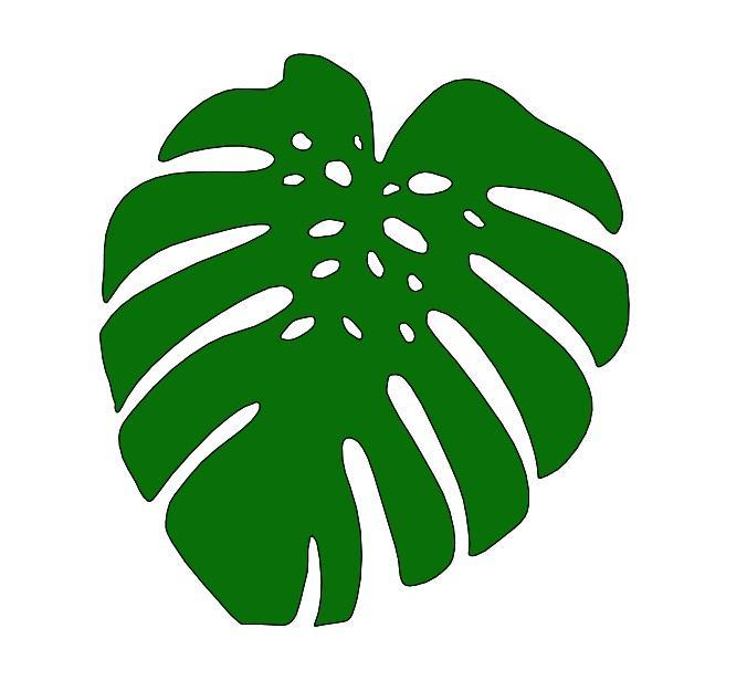 stencil leaf plant