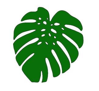 stencil leaf plant