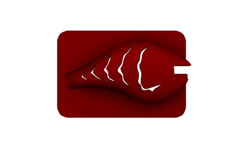 Lure Stencil - Rapala DT6 Orig (craw22)