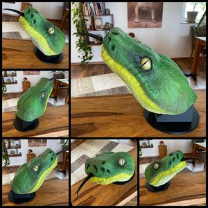 Corallus caninus, green doghead snake, portrait