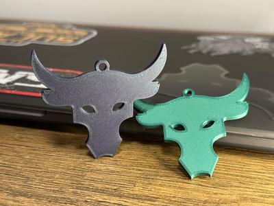 Project Rock - Under Armour logo