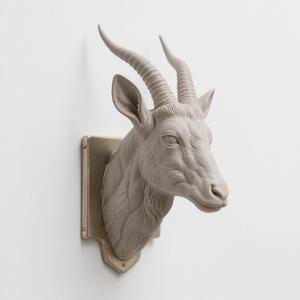 antelope