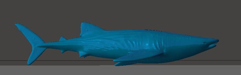 Tiburon Ballena - whale shark