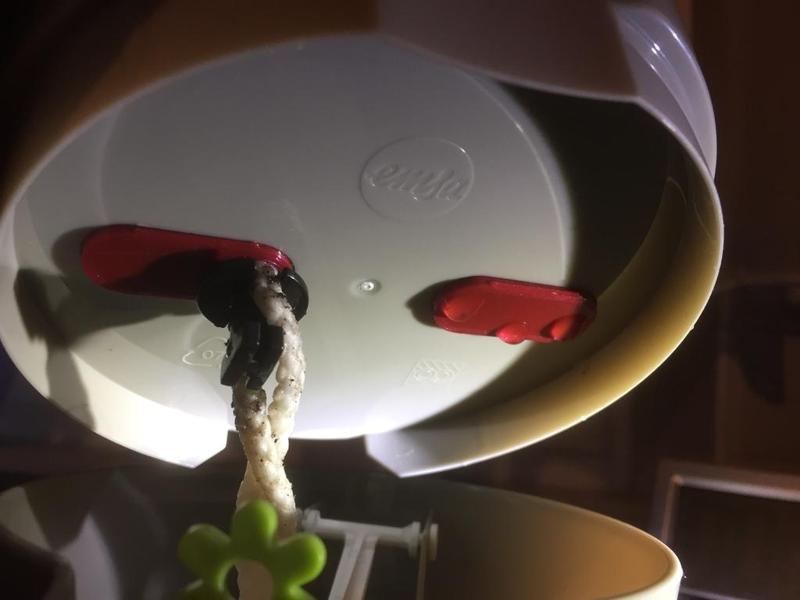 Emsa herb pot FRESH HERBS GROW