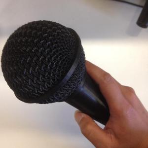 Mic Test