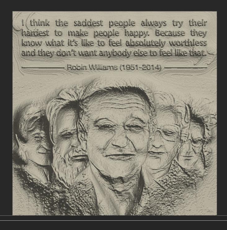 Robin Williams 
