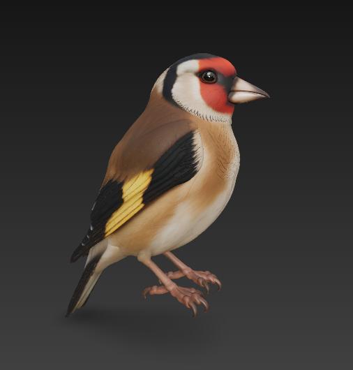 Goldfinch