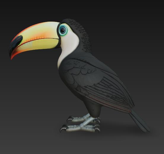 Toucan