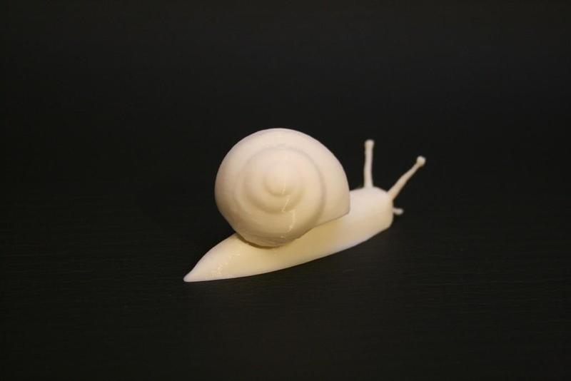 Realistic garden snail