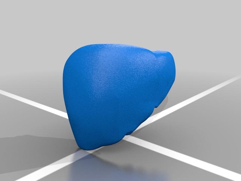 BodyParts3D liver