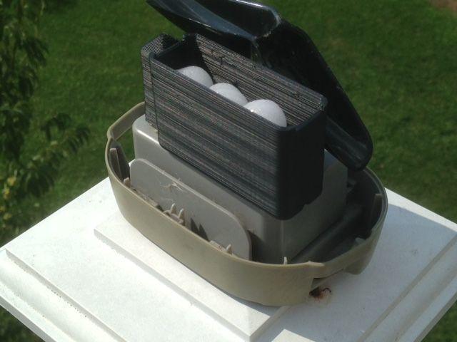 Rain Gauge Spider and Wasp Repeller