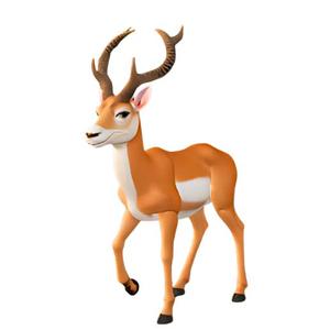 Deer