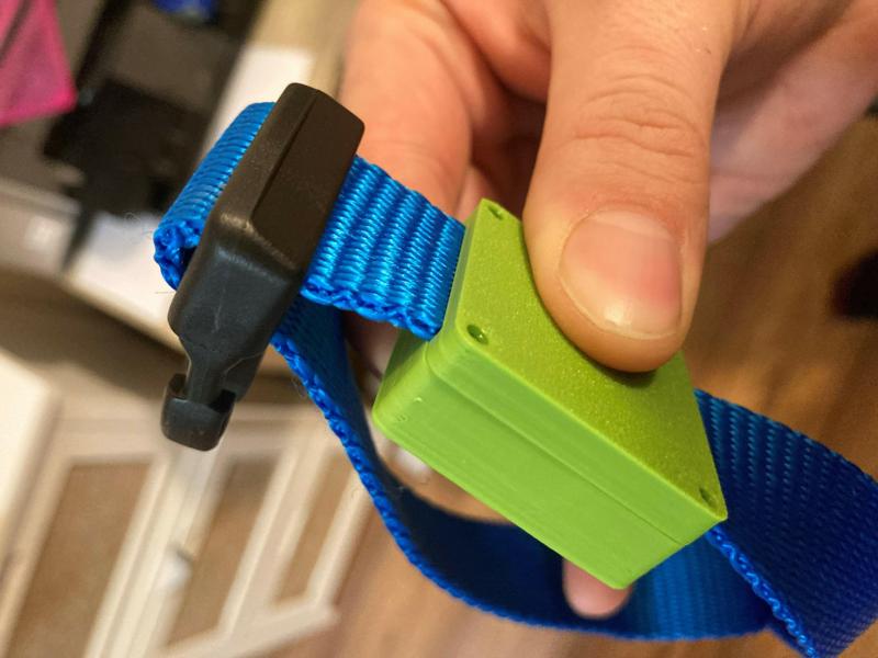 Low profile dog collar AIRTAG