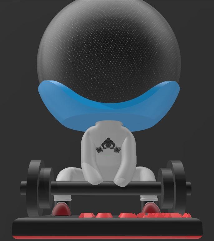 Suporte Alexa Echo Dot 4a e 5a Geração Robert  Weightlifter