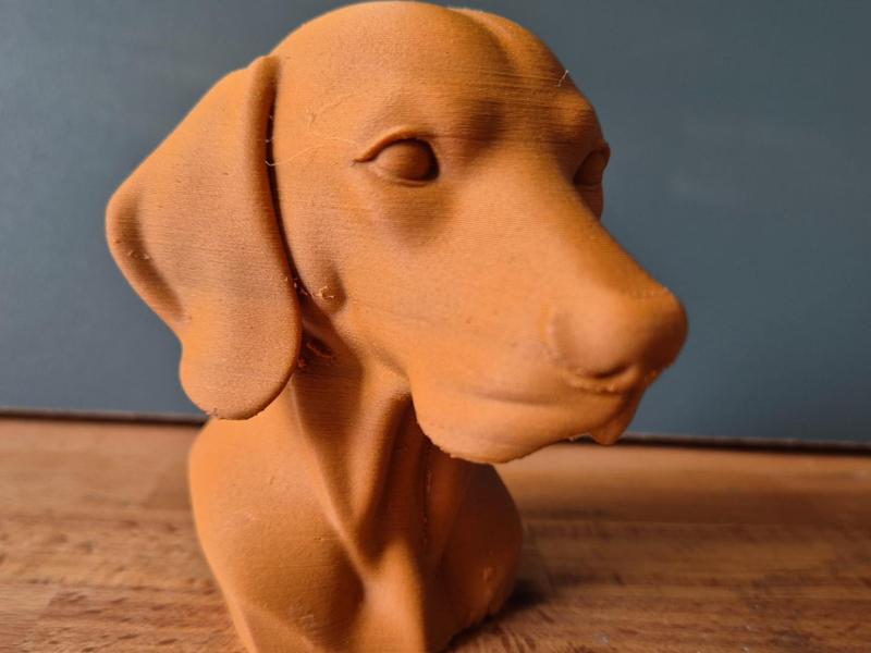 Vizsla Dog Bust – Realistic Dog Sculpture