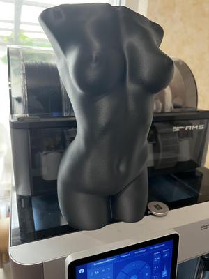 Female Torso Vase - Bambulab X1 Carbon optimized