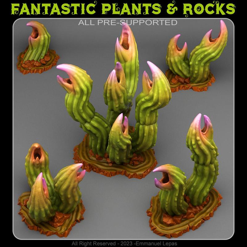 EXOTIC CARNIVOROUS CACTUS