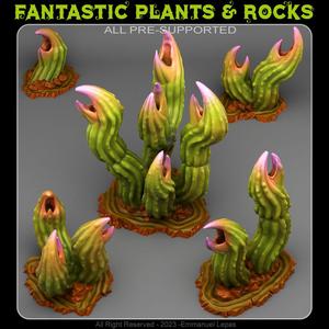 EXOTIC CARNIVOROUS CACTUS