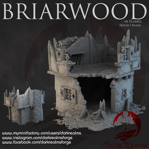 Dark Realms - Briarwood - House 1 Ruins