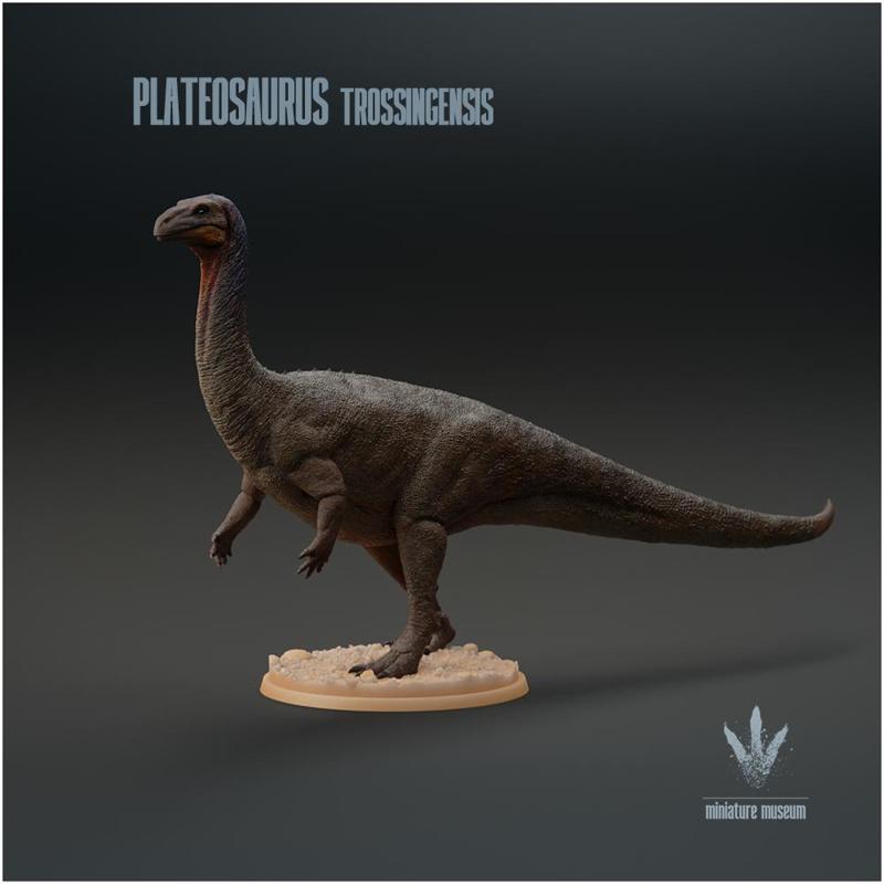 Plateosaurus trossingensis : The Broad Lizard