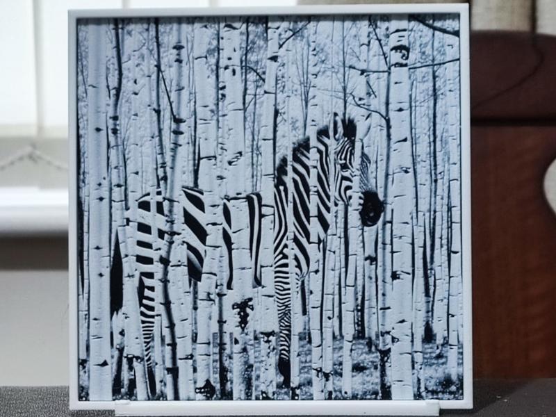 Natural Camo - HueForge 2 Color