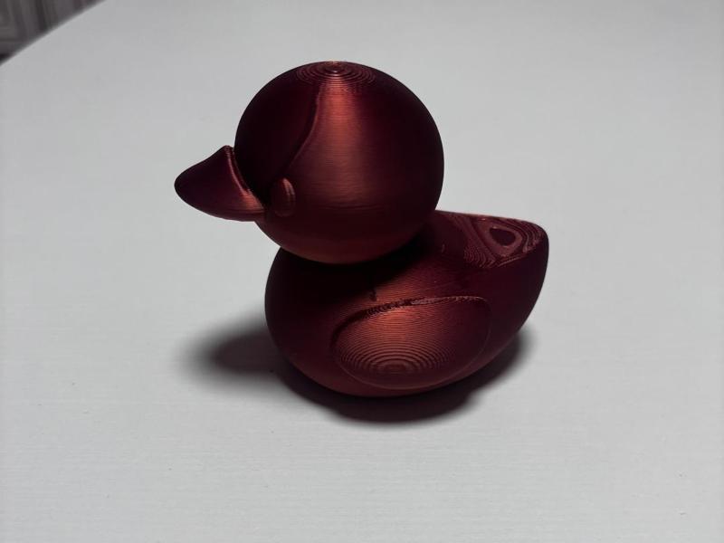 Simple duck toy