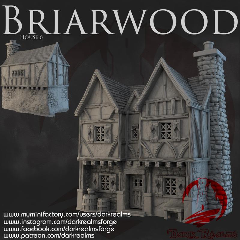 Dark Realms - Briarwood - House 6