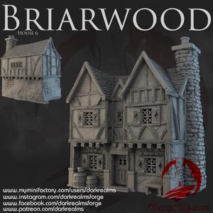 Dark Realms - Briarwood - House 6