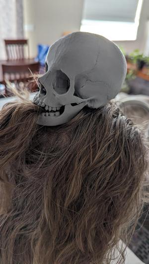 Anatomically correct HINGED Skull and Jaw
