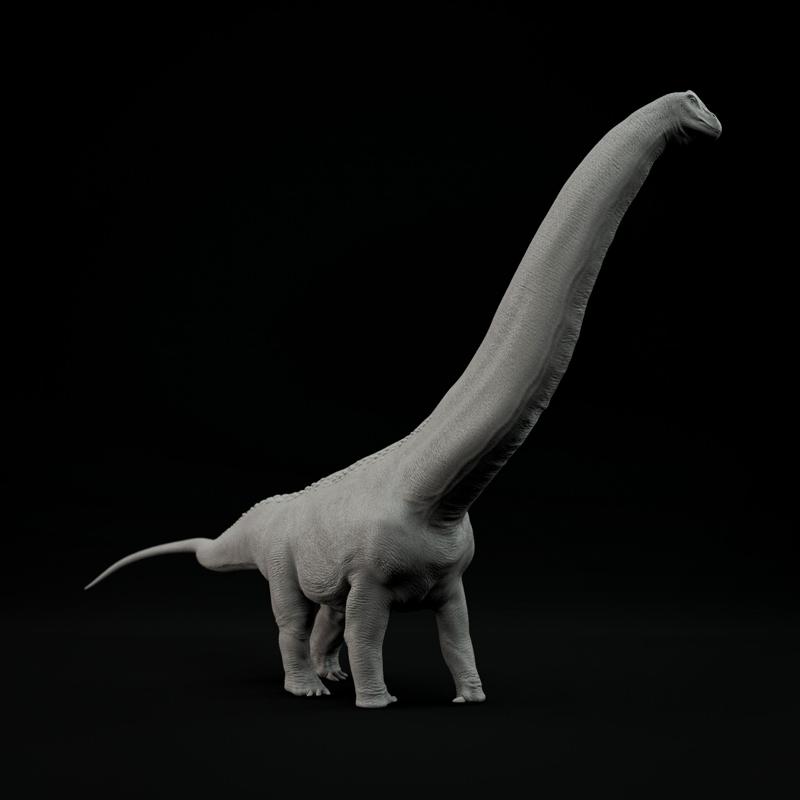 Argentinosaurus walking 1-100 scale pre-supported dinosaur