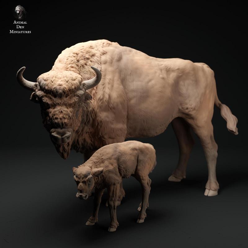 European Bison Cow and Calf
