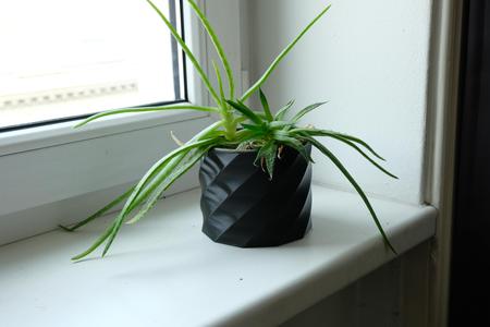 Vase Mode Planters