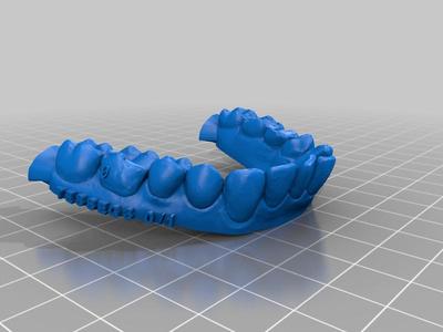 Sample Dental Models Prepped for Printing