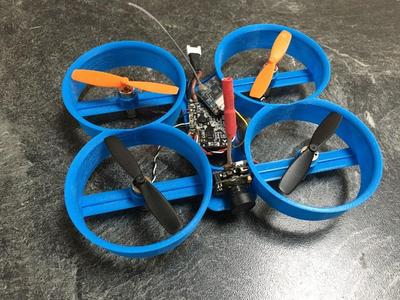 Tiny Cine Whoop