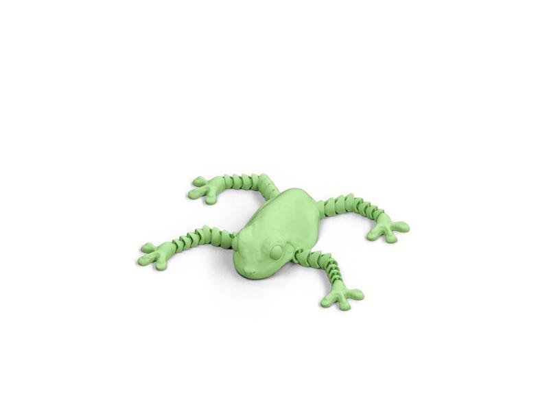 JOINTED AND POSABLE FROG