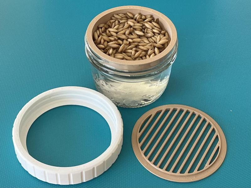 Cat Grass - Growing Kit - Standard and Wide Mouth Canning Jar