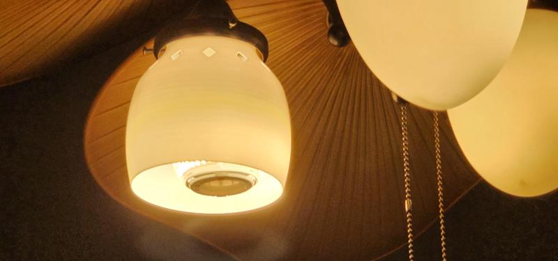 Ceiling Fan lampshade - light shade