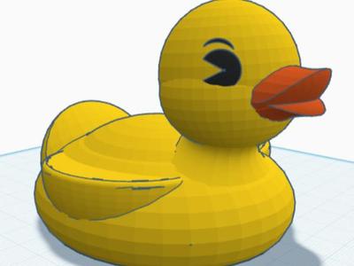 A beautiful duck